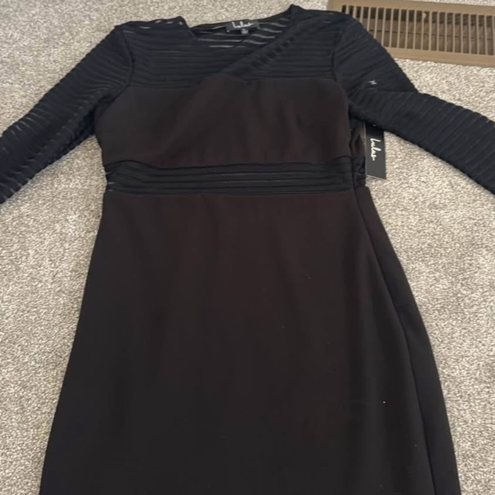 Lulus Sheer Dress